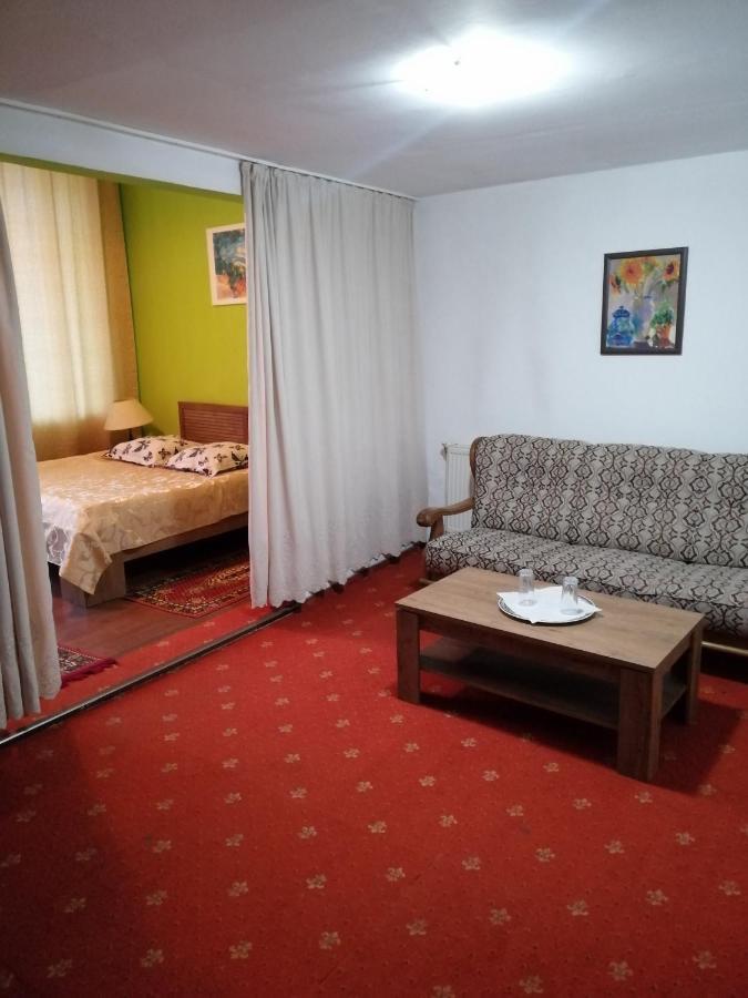 Hotel Rares Ботошани Экстерьер фото