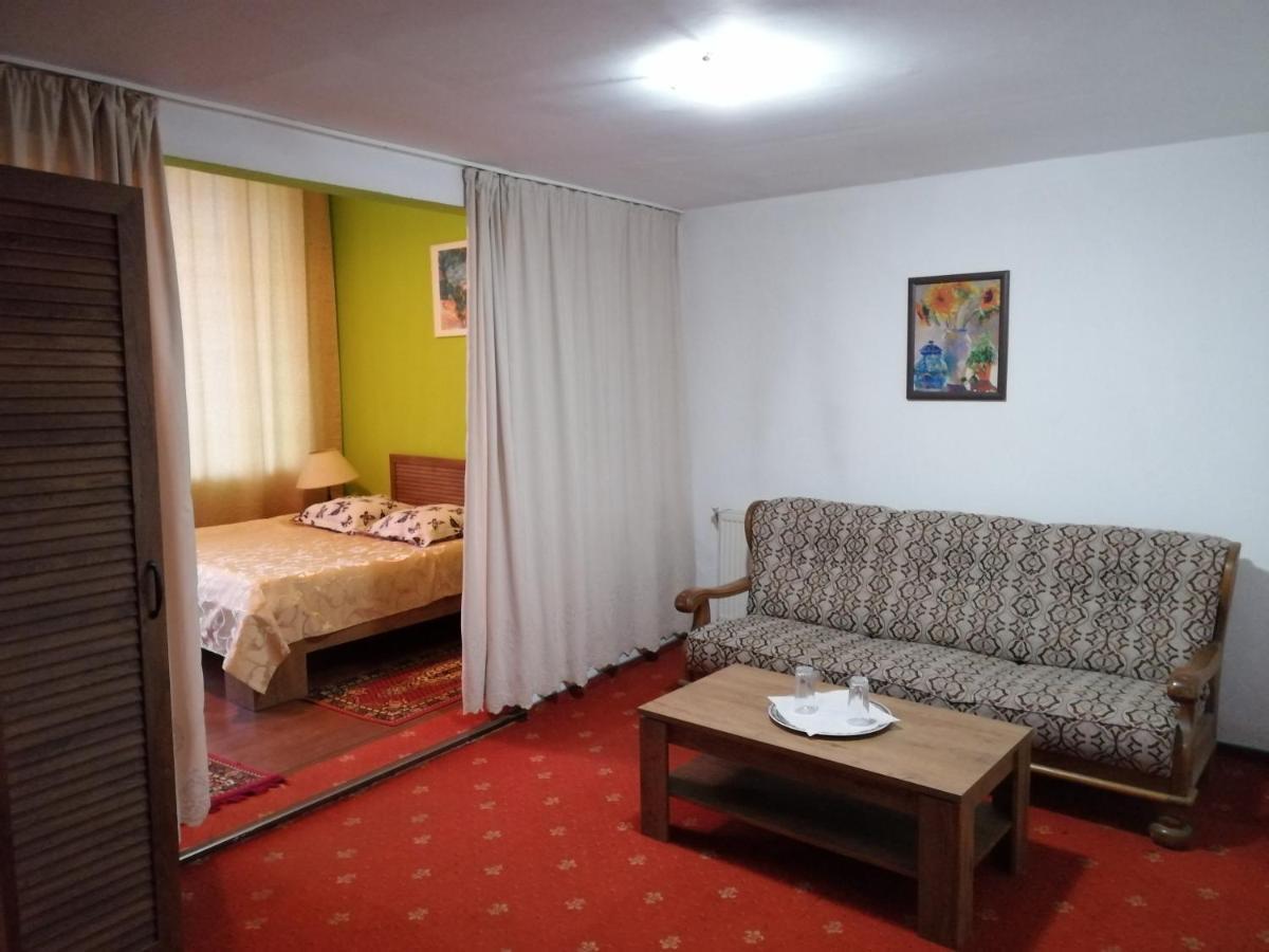 Hotel Rares Ботошани Экстерьер фото